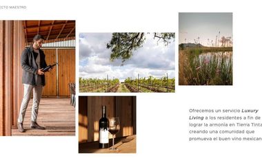 Gran Preventa de terrenos habitacionales Tierra Tinta Aguascalientes