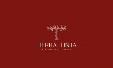 Gran Preventa de terrenos habitacionales Tierra Tinta Aguascalientes