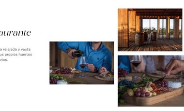 Gran Preventa de terrenos habitacionales Tierra Tinta Aguascalientes