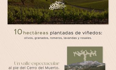 Gran Preventa de terrenos habitacionales Tierra Tinta Aguascalientes