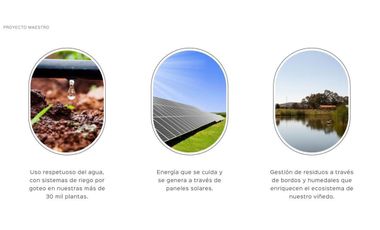 Gran Preventa de terrenos habitacionales Tierra Tinta Aguascalientes