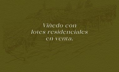 Gran Preventa de terrenos habitacionales Tierra Tinta Aguascalientes