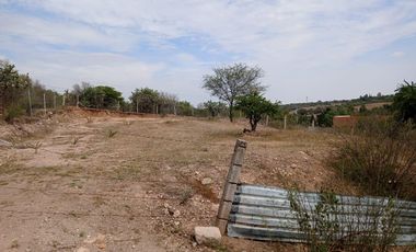 Terreno en El Retoño, Los Arellano, Aguascalientes