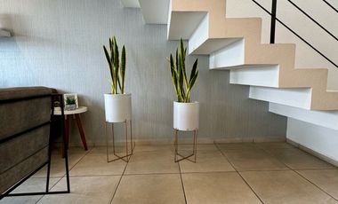 Casa - San Mateo Otzacatipan