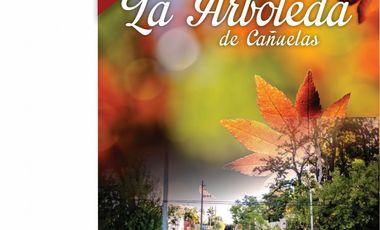CaÃ±uelas - Barrio La Arboleda - Â¡Ultimos Lotes Disponibles!