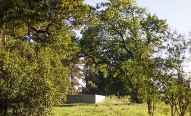 CaÃ±uelas - Barrio La Arboleda - Â¡Ultimos Lotes Disponibles!