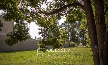 CaÃ±uelas - Barrio La Arboleda - Â¡Ultimos Lotes Disponibles!