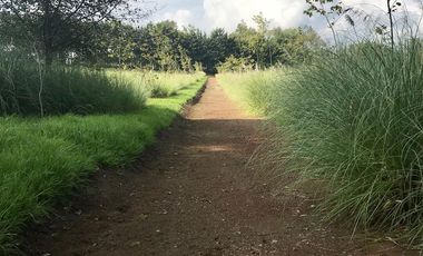 Rancho El Jacal, Valle de Bravo, D