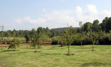 Rancho El Jacal, Valle de Bravo, D