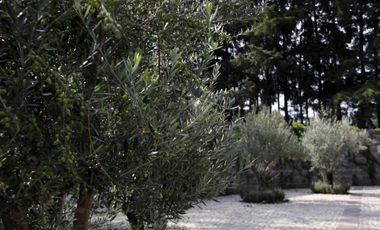 Rancho El Jacal, Valle de Bravo, D