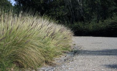 Rancho El Jacal, Valle de Bravo, D