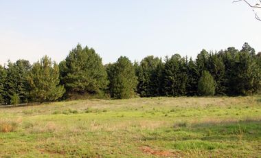 Rancho El Jacal, Valle de Bravo, D
