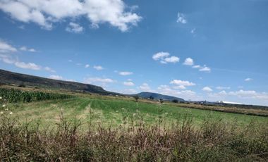 Terreno - Rancho o rancheria Purísima de Cubos (La Purísima)