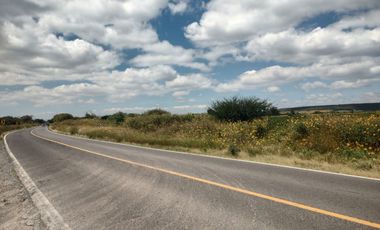 Terreno - Rancho o rancheria Purísima de Cubos (La Purísima)