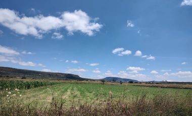 Terreno - Rancho o rancheria Purísima de Cubos (La Purísima)