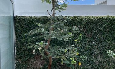 Casa en VENTA Parque Guanajuato Lomas de Angelópolis Cholula Puebla.