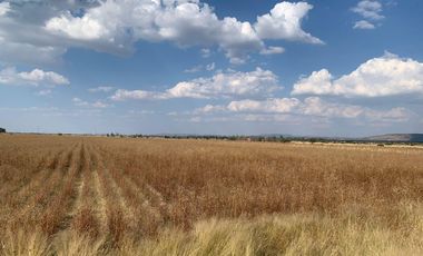Terreno en Ejido Santa Rosa, Aguascalientes