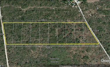 Terreno en venta de 10 hectáreas en venta cerca de Mérida