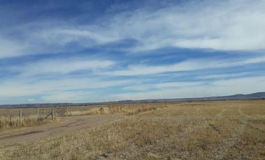 Venta de Terreno en Matancillas, Ojuelos, Jalisco