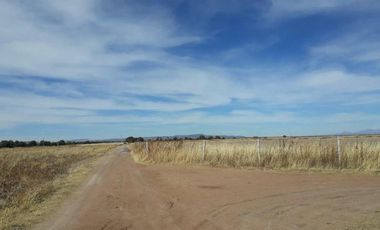 Venta de Terreno en Matancillas, Ojuelos, Jalisco