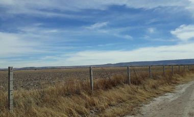 Venta de Terreno en Matancillas, Ojuelos, Jalisco