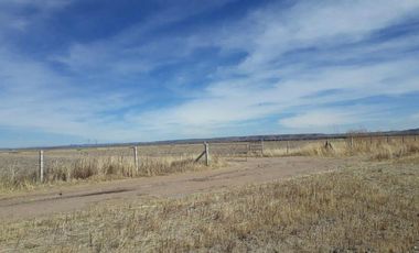 Venta de Terreno en Matancillas, Ojuelos, Jalisco
