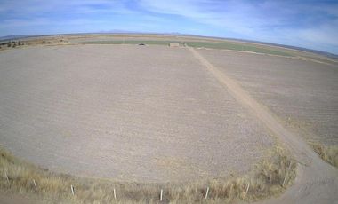 Venta de Terreno en Matancillas, Ojuelos, Jalisco