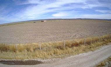 Venta de Terreno en Matancillas, Ojuelos, Jalisco