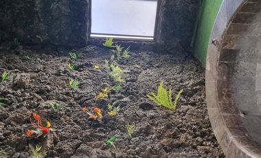 Casa en Fraccionamiento Lomas de Cuernavaca