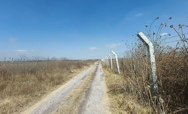 Terreno en Nextlalpan, Estado de México SUP 8 hectáreas
