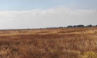 Terreno en Nextlalpan, Estado de México SUP 8 hectáreas