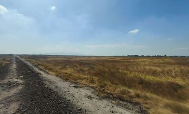 Terreno en Nextlalpan, Estado de México SUP 8 hectáreas