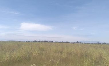 Terreno en Nextlalpan, Estado de México SUP 8 hectáreas