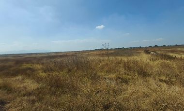 Terreno en Nextlalpan, Estado de México SUP 8 hectáreas