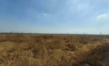 Terreno en Nextlalpan, Estado de México SUP 8 hectáreas