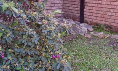 Cafayate 1100. Chalet 4 ambientes.