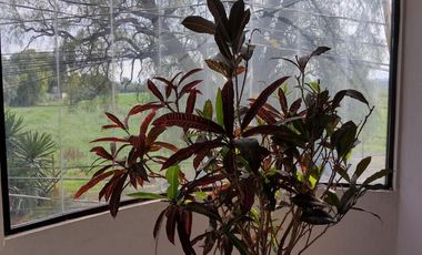 EDIFICIO CON 7 DEPARTAMENTOS SAN PEDRO ATZOMPA TECAMAC