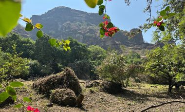 Rancho en Tepoztlán