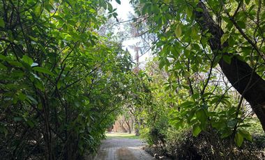 Rancho en Tepoztlán