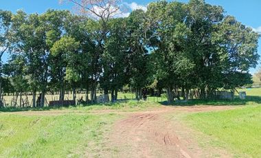 VENTA DE HECTAREAS EN ZARATE