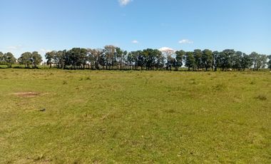 VENTA DE HECTAREAS EN ZARATE