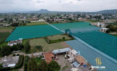 Terreno en Barrio de Guadalupe, San Gregorio Atzompan