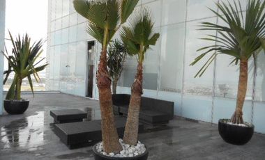 OFICINA EN VENTA PARA INVERSIONISTA  EN TORRE CENTRO MAYOR NIVEL 13, Zona Zavaleta Puebla