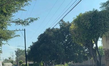 Terreno - Real del Puente