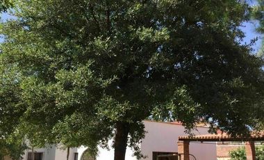 Excelente Oportunidad en Fraccionamiento Residencial