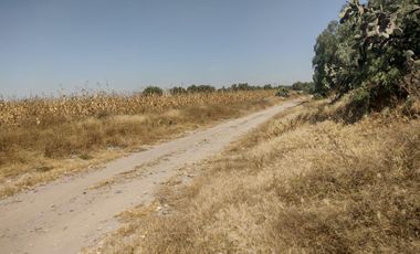 TERRENO LA BARRANCA LOS REYES ACOZAC SUP 43157