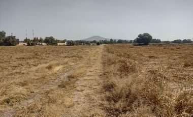 TERRENO LA BARRANCA LOS REYES ACOZAC SUP 43157