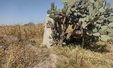 TERRENO LA BARRANCA LOS REYES ACOZAC SUP 43157