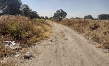 TERRENO LA BARRANCA LOS REYES ACOZAC SUP 43157