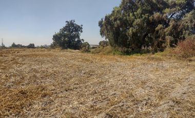 TERRENO LA BARRANCA LOS REYES ACOZAC SUP 43157